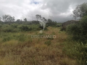 Terreno para Venda em Santo Quintino