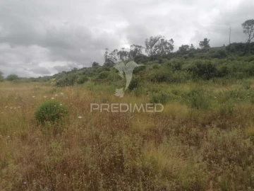 Terreno para Venda em Santo Quintino
