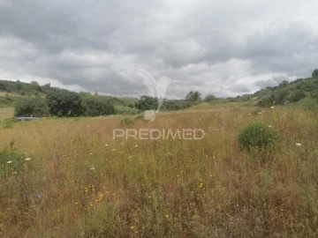 Terreno para Venda em Santo Quintino
