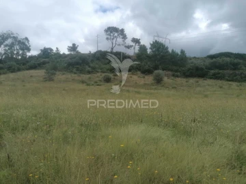 Terreno para Venda em Santo Quintino