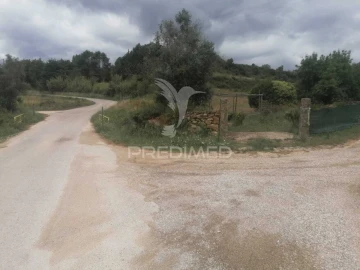 Terreno para Venda em Santo Quintino