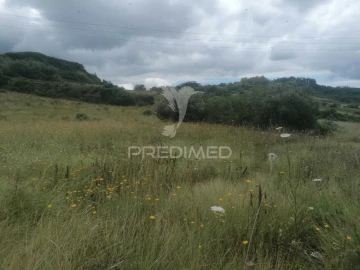 Terreno para Venda em Santo Quintino