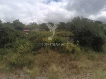 Terreno para Venda em Santo Quintino