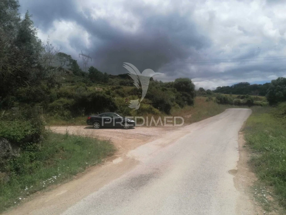 Terreno para Venda em Santo Quintino Foto 2