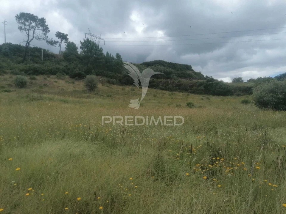 Terreno para Venda em Santo Quintino Foto 18