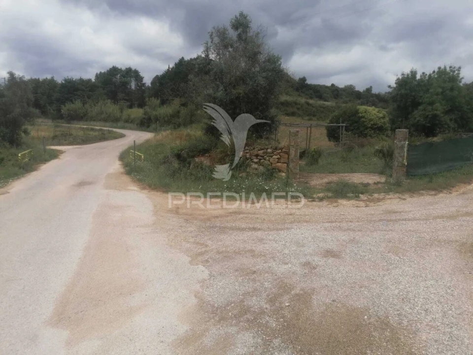 Terreno para Venda em Santo Quintino Foto 31