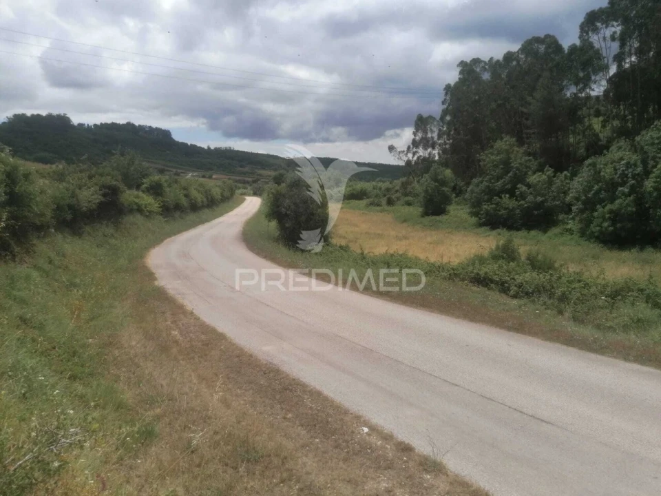 Terreno para Venda em Santo Quintino Foto 6