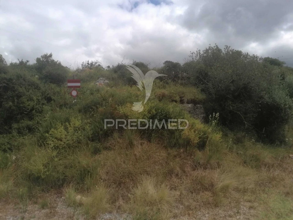Terreno para Venda em Santo Quintino Foto 29