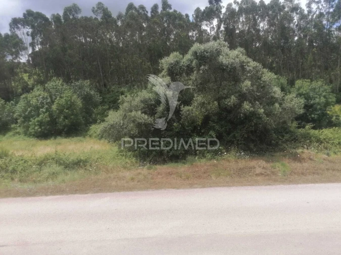 Terreno para Venda em Santo Quintino Foto 3