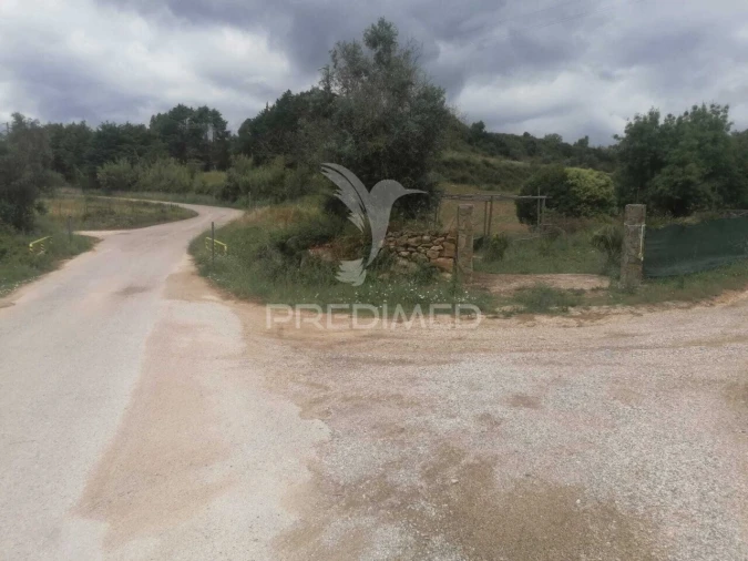 Terreno para Venda em Santo Quintino Foto 31