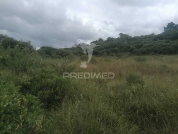 Terreno para Venda em Santo Quintino