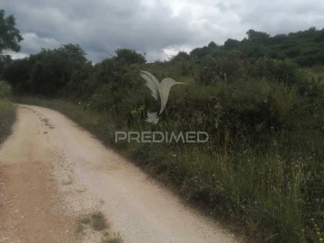 Terreno para Venda em Santo Quintino