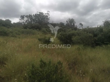 Terreno para Venda em Santo Quintino