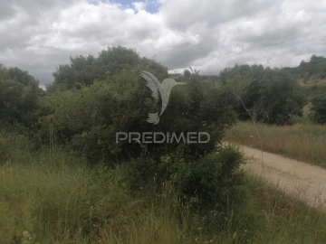 Terreno para Venda em Santo Quintino