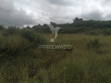 Terreno para Venda em Santo Quintino