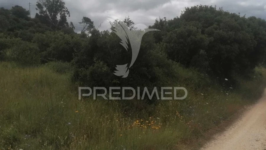 Terreno para Venda em Santo Quintino