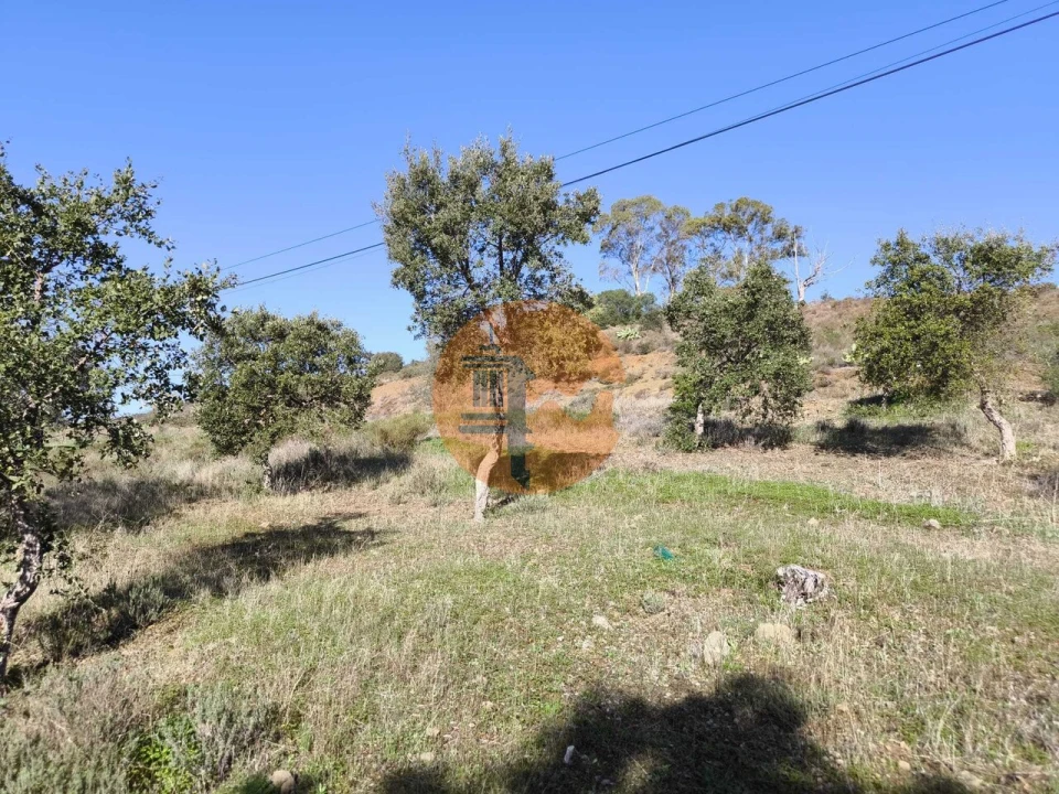 Terreno para Venda em Odeleite Foto 7