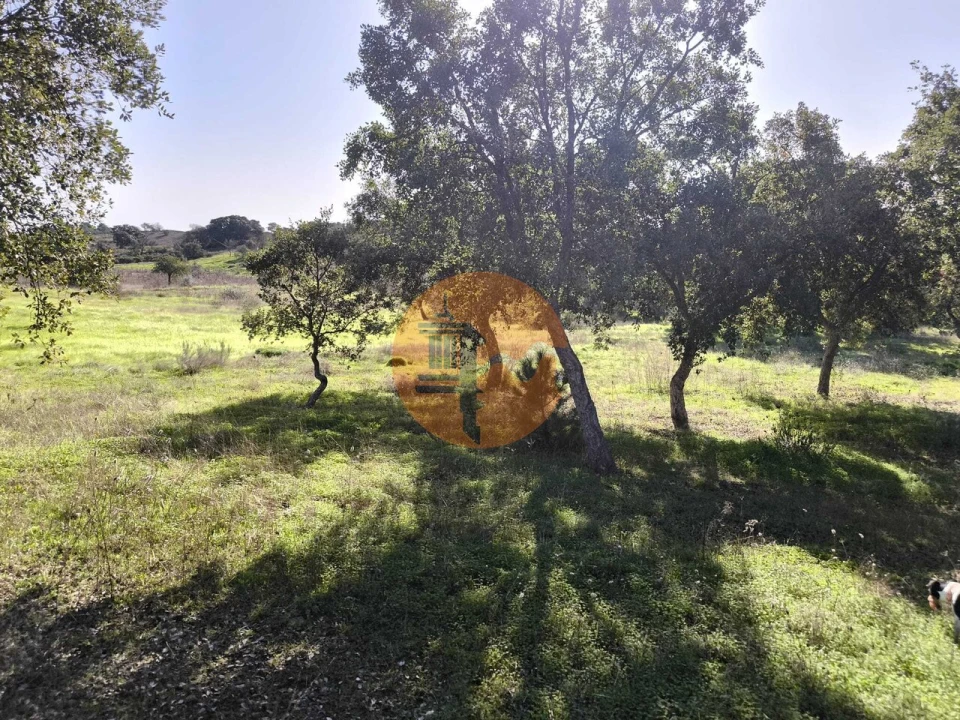 Terreno para Venda em Odeleite Foto 8