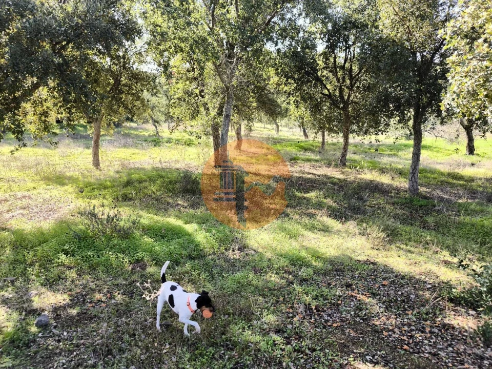 Terreno para Venda em Odeleite Foto 12