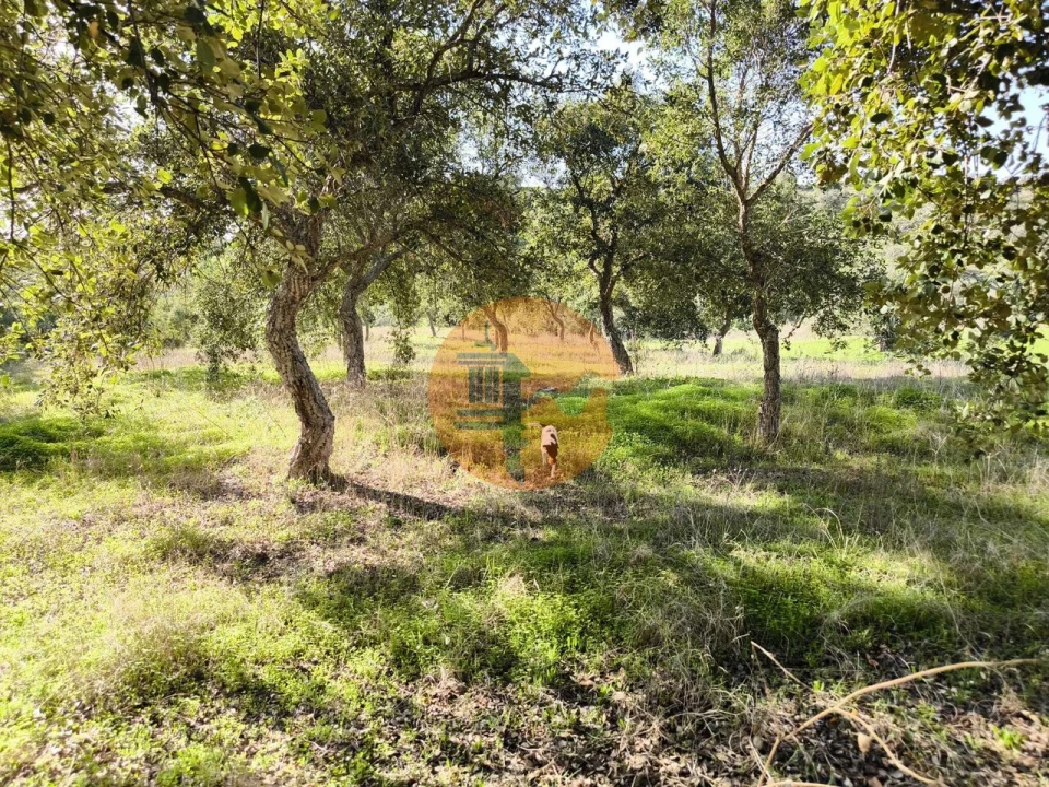 Terreno para Venda em Odeleite Foto 14