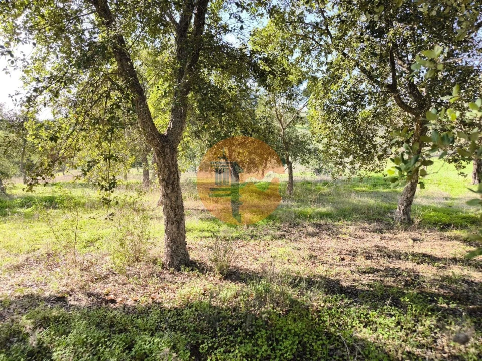 Terreno para Venda em Odeleite Foto 15