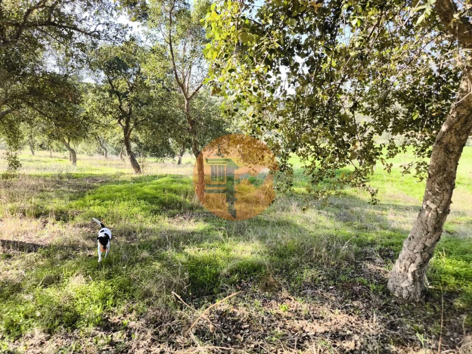 Terreno para Venda em Odeleite Foto 16