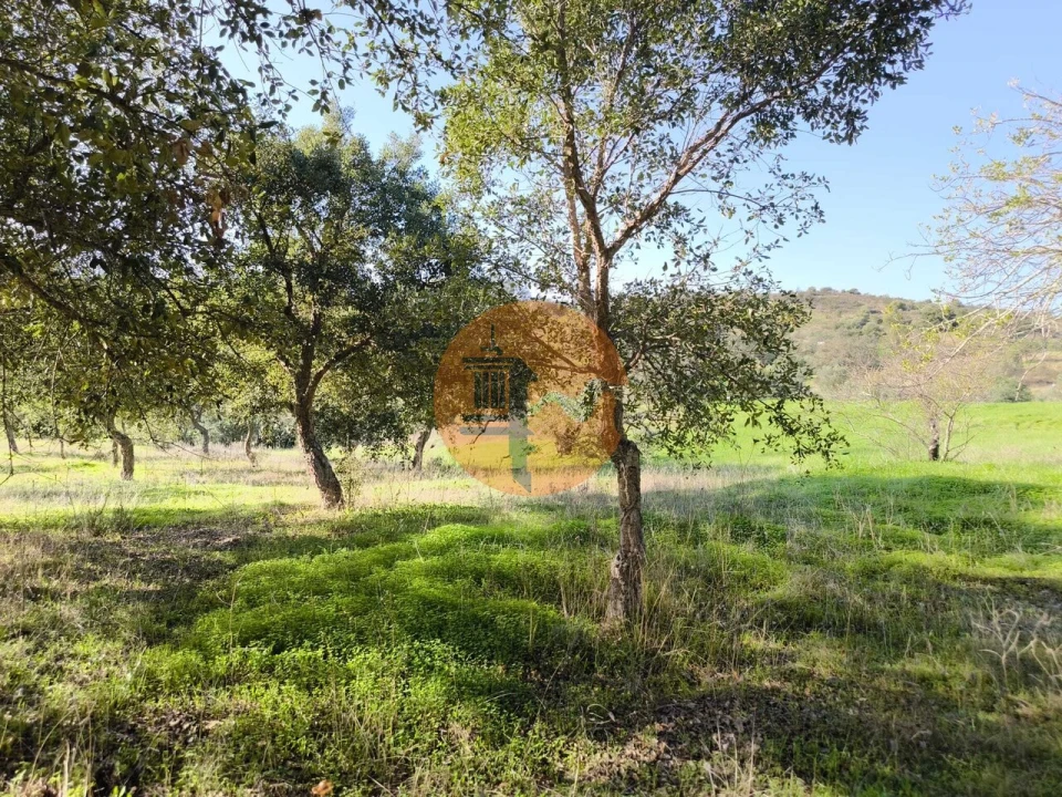 Terreno para Venda em Odeleite Foto 18