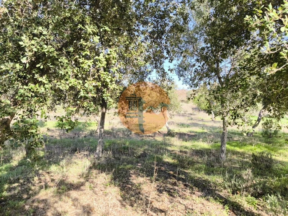 Terreno para Venda em Odeleite Foto 20