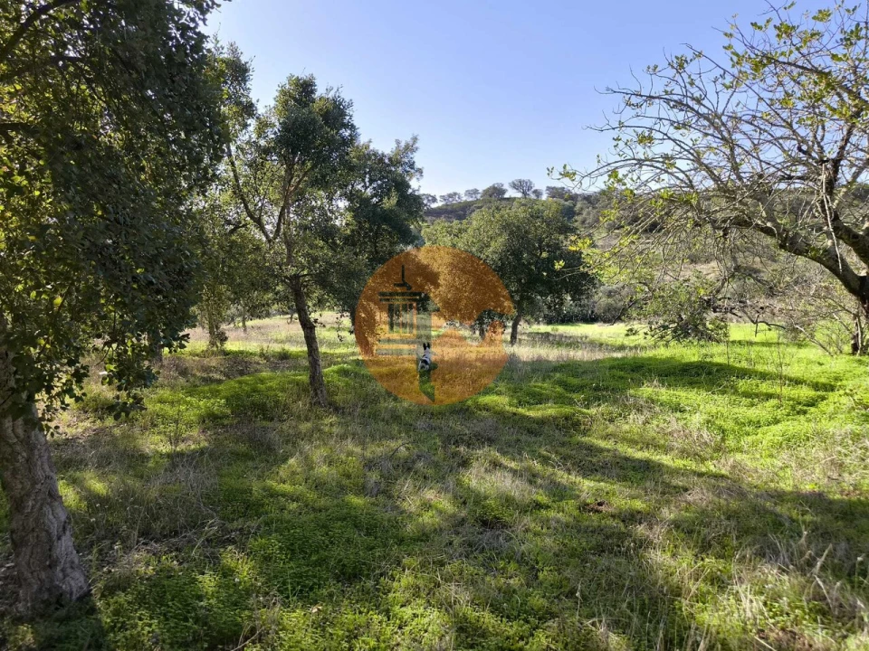Terreno para Venda em Odeleite Foto 21