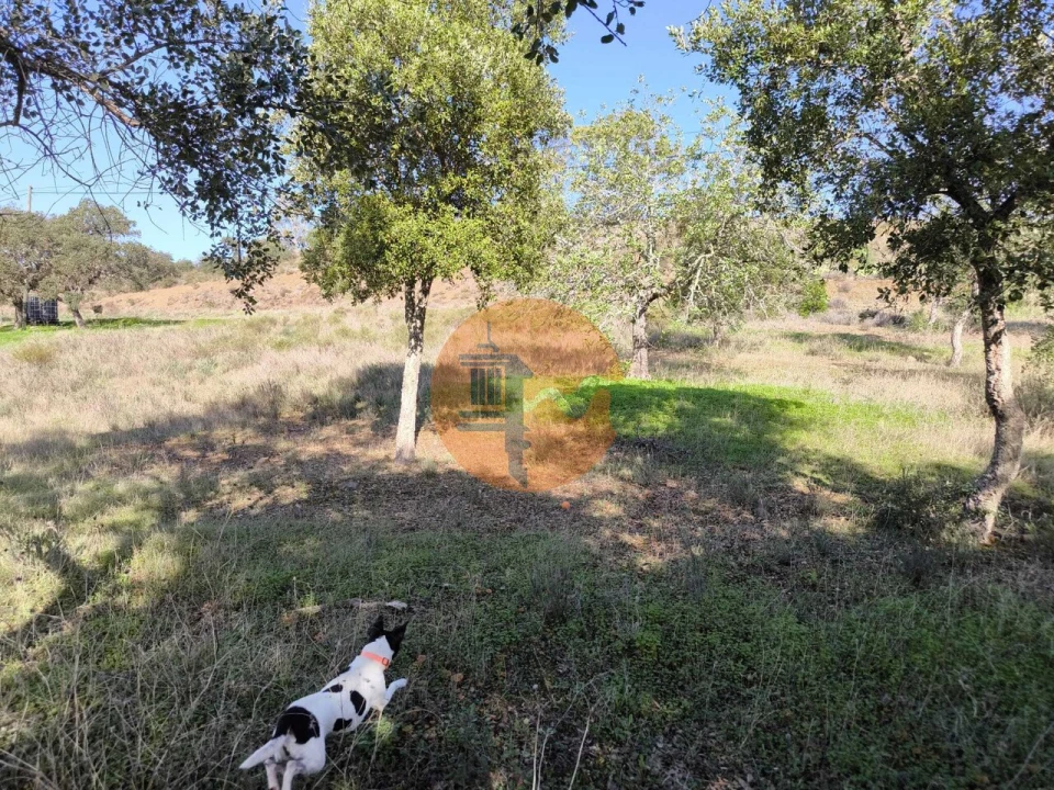 Terreno para Venda em Odeleite Foto 23