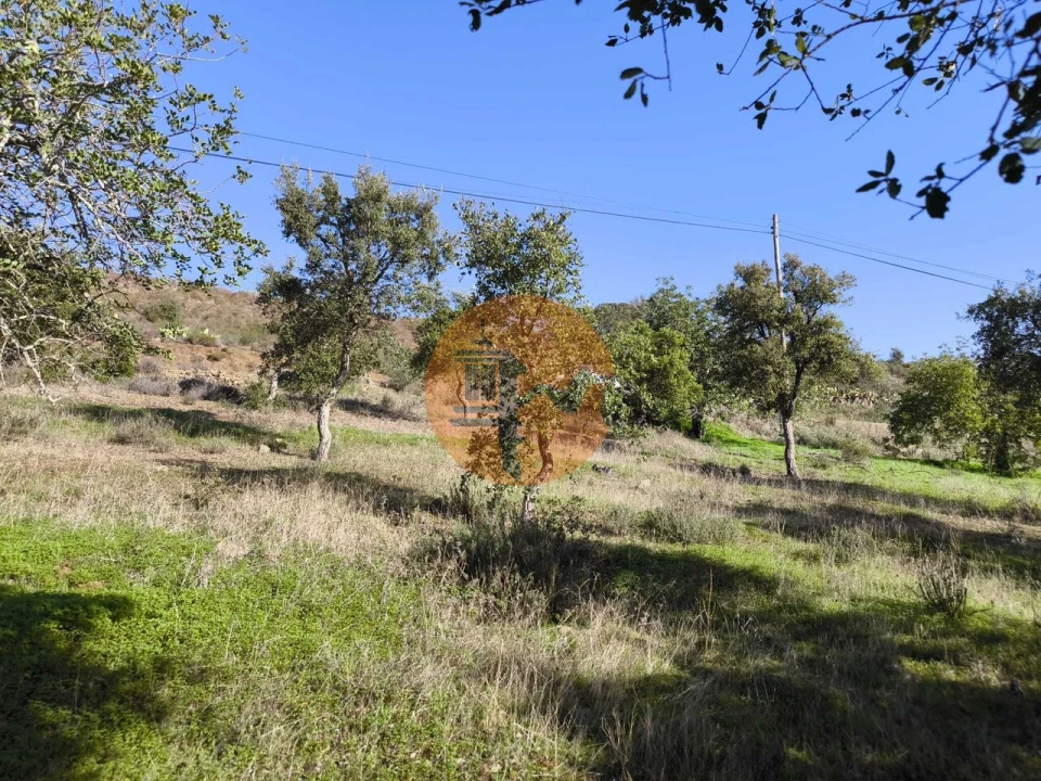 Terreno para Venda em Odeleite Foto 26