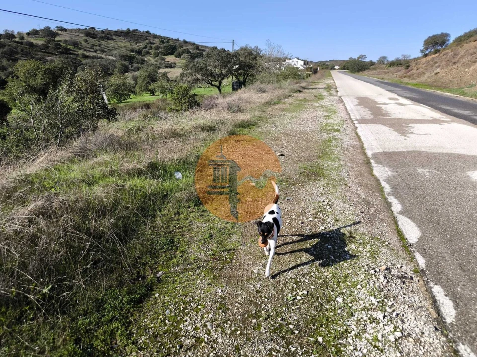 Terreno para Venda em Odeleite Foto 27