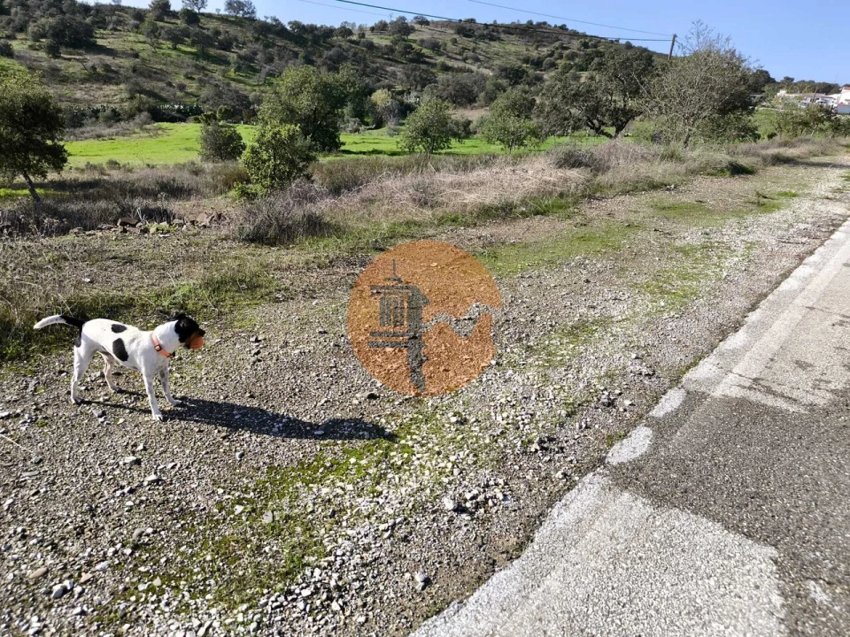 Terreno para Venda em Odeleite Foto 29