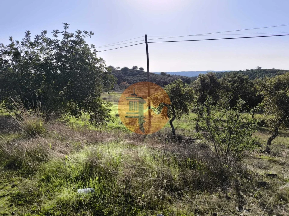 Terreno para Venda em Odeleite Foto 30