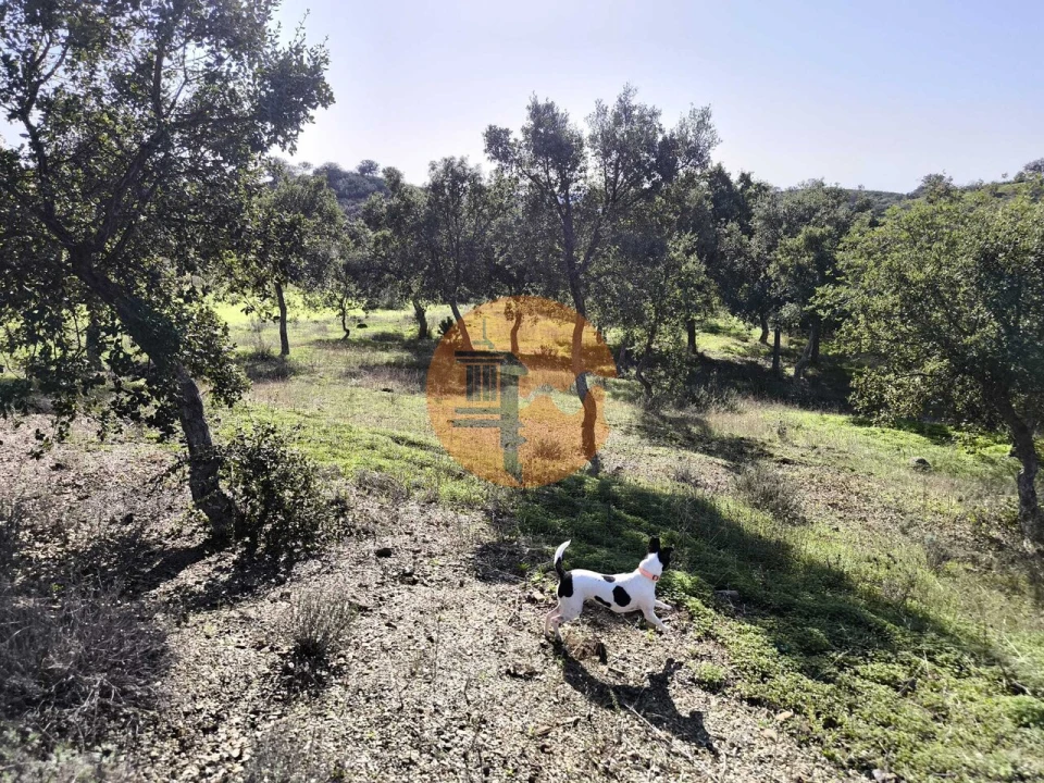 Terreno para Venda em Odeleite Foto 31