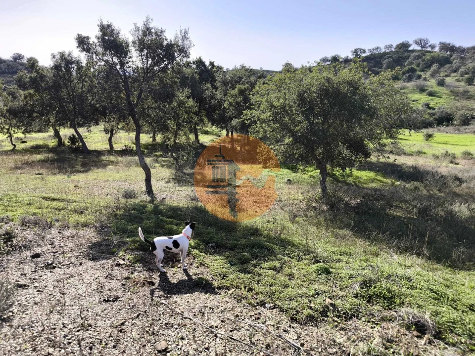 Terreno para Venda em Odeleite Foto 33