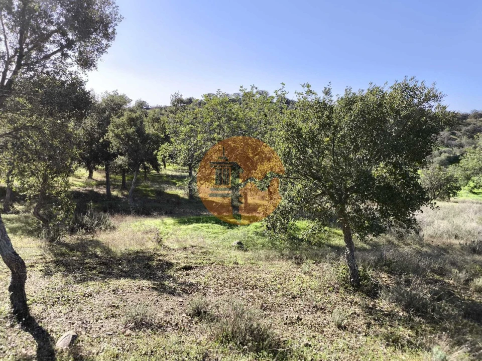 Terreno para Venda em Odeleite Foto 34
