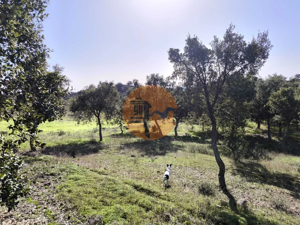 Terreno para Venda em Odeleite Foto 35