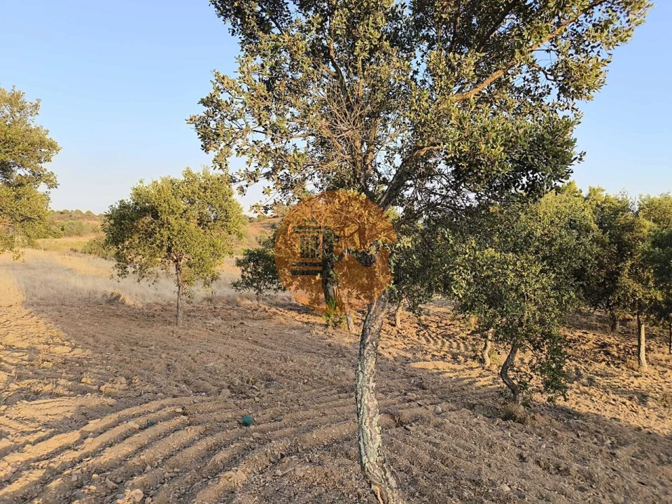 Terreno para Venda em Odeleite Foto 3