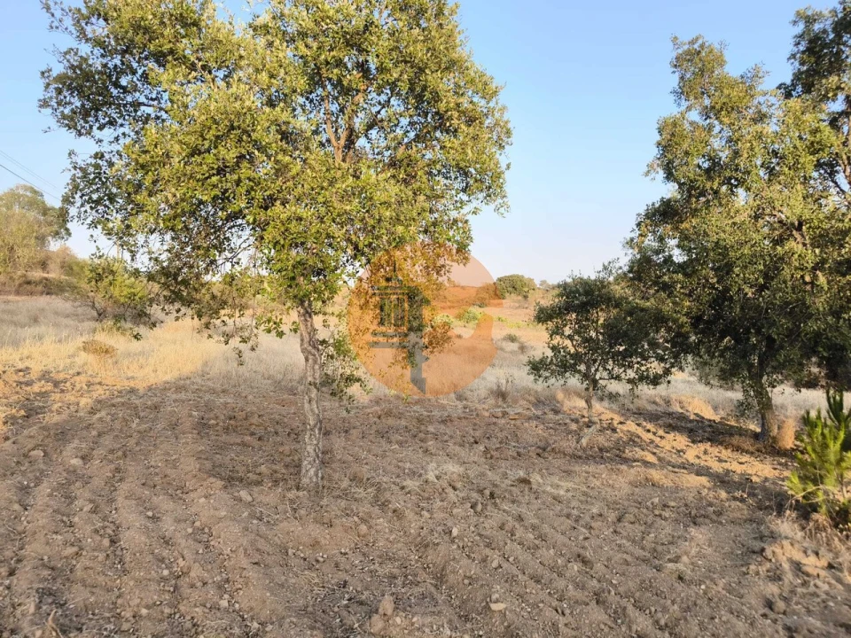 Terreno para Venda em Odeleite Foto 37