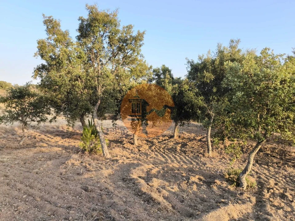 Terreno para Venda em Odeleite Foto 38