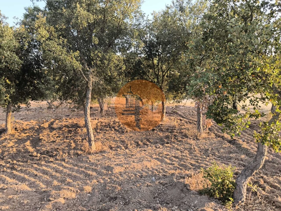 Terreno para Venda em Odeleite Foto 39