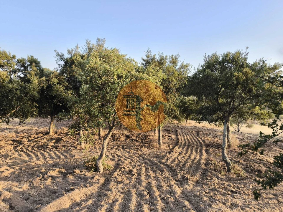 Terreno para Venda em Odeleite Foto 41