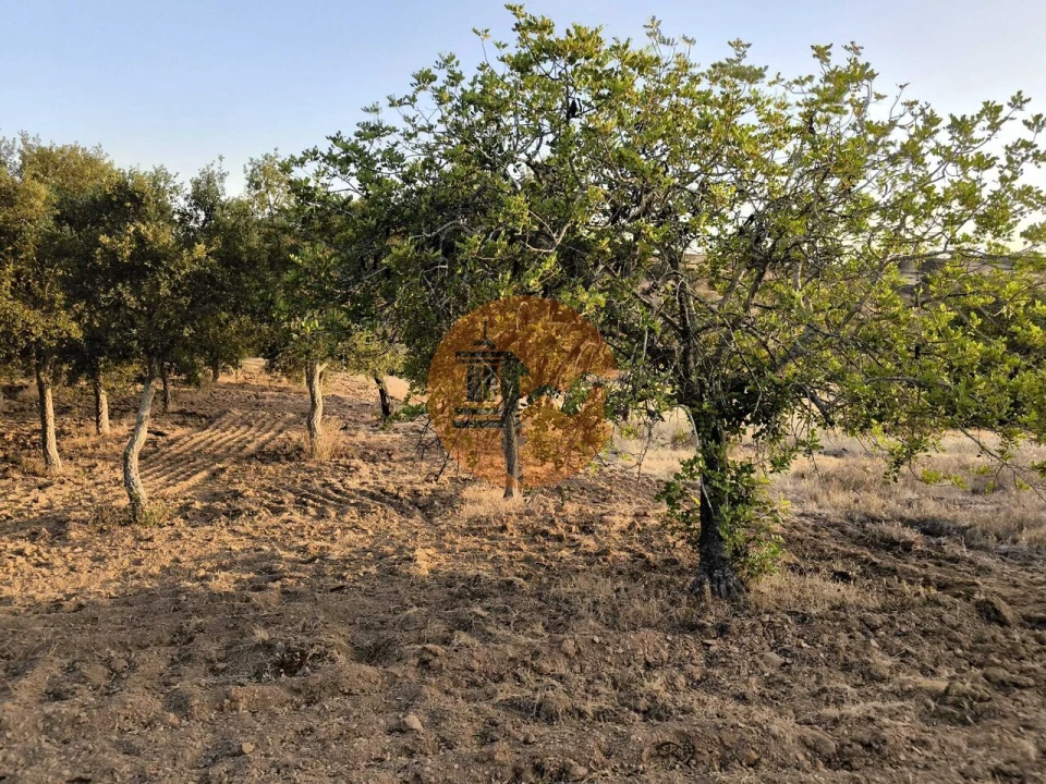 Terreno para Venda em Odeleite Foto 43