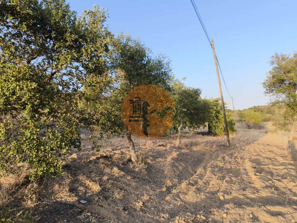 Terreno para Venda em Odeleite Foto 44