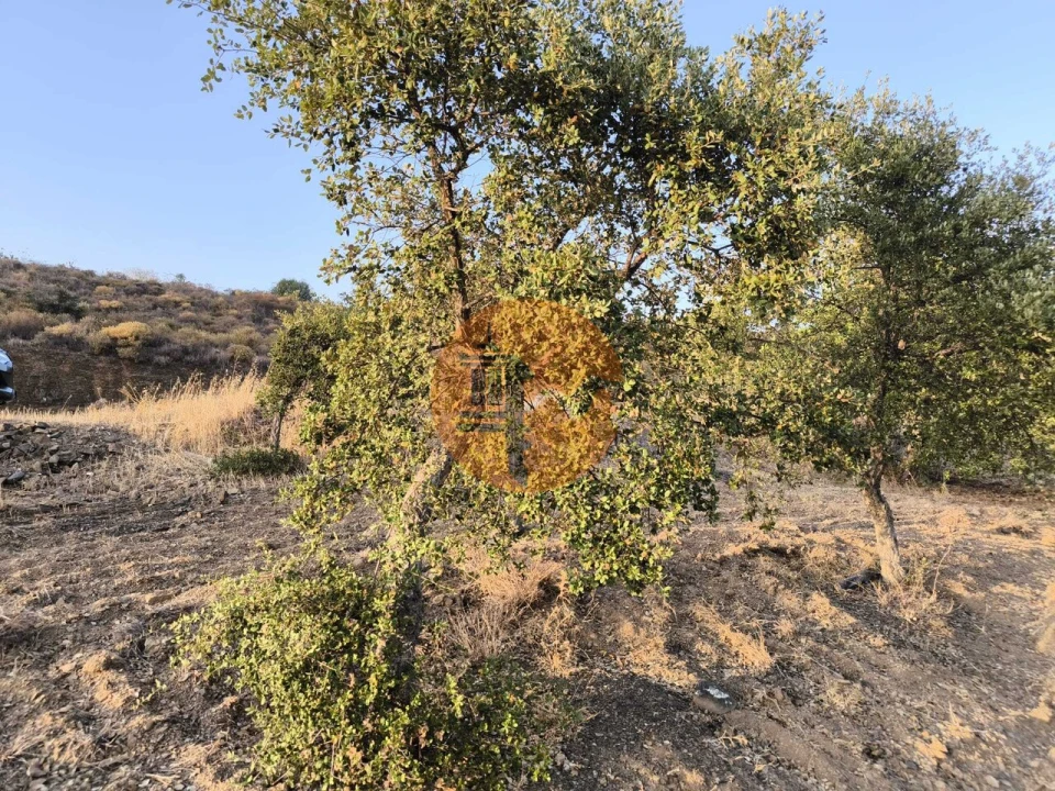 Terreno para Venda em Odeleite Foto 45