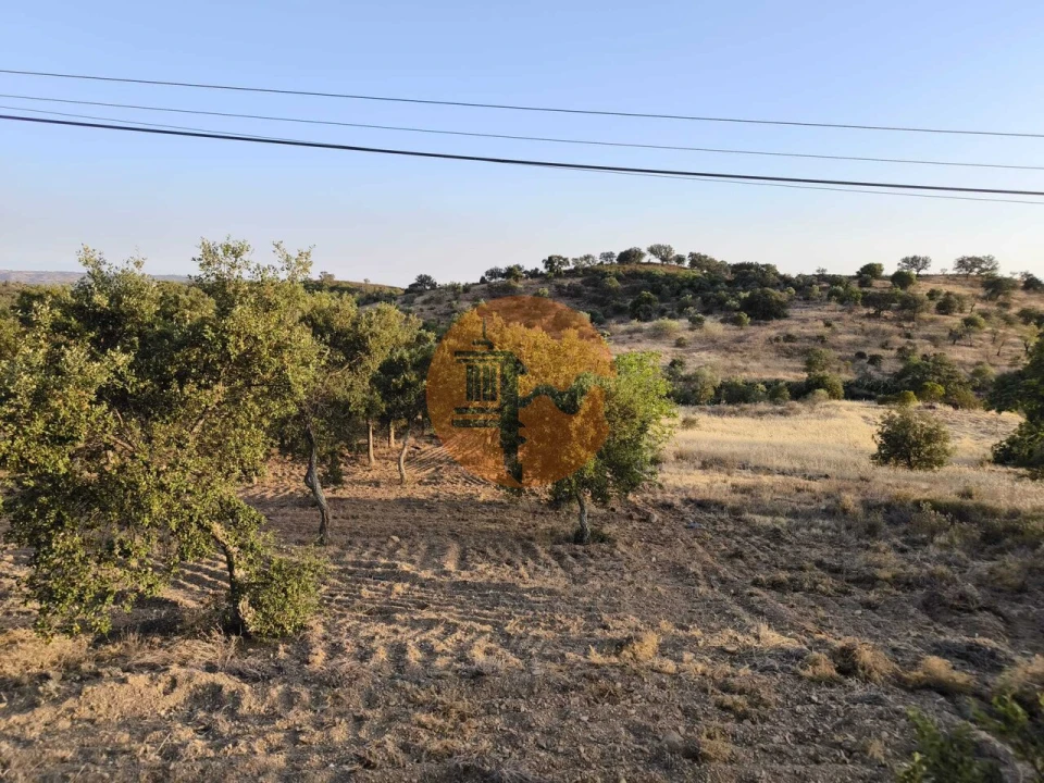 Terreno para Venda em Odeleite Foto 47