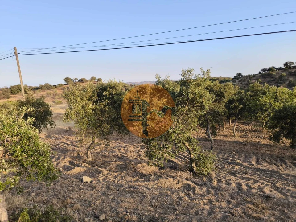 Terreno para Venda em Odeleite Foto 48