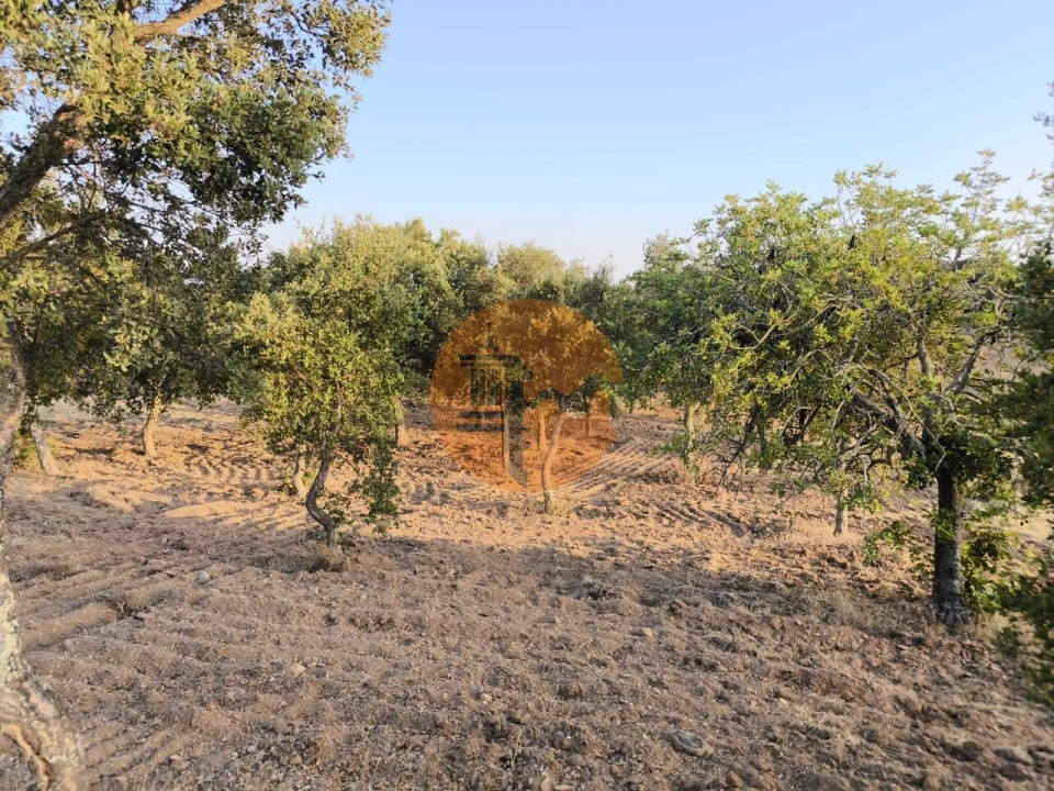 Terreno para Venda em Odeleite Foto 49