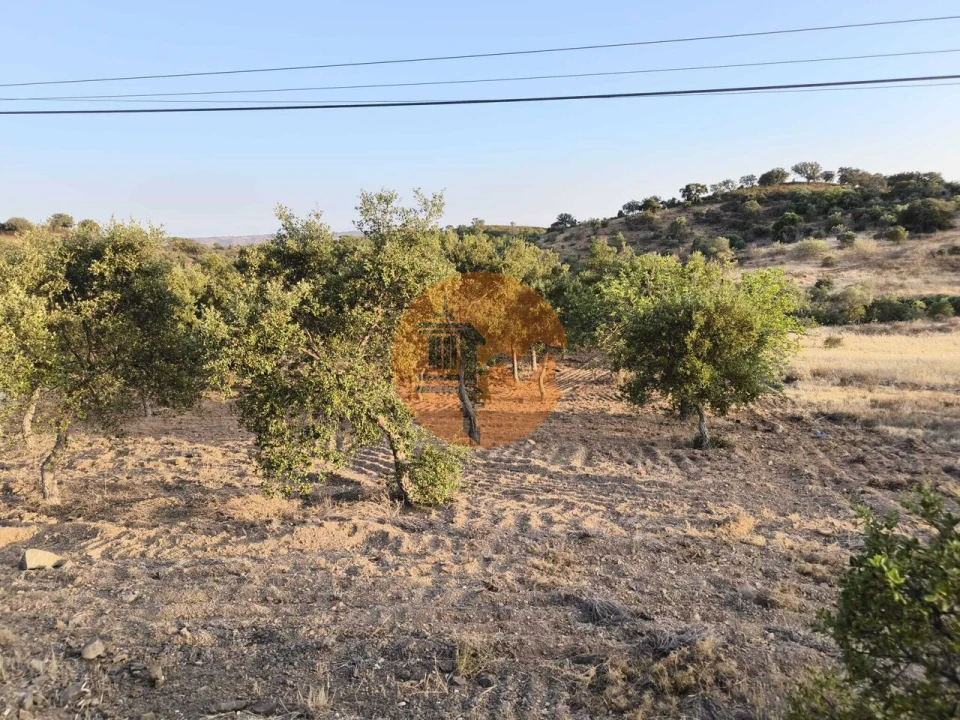 Terreno para Venda em Odeleite Foto 50